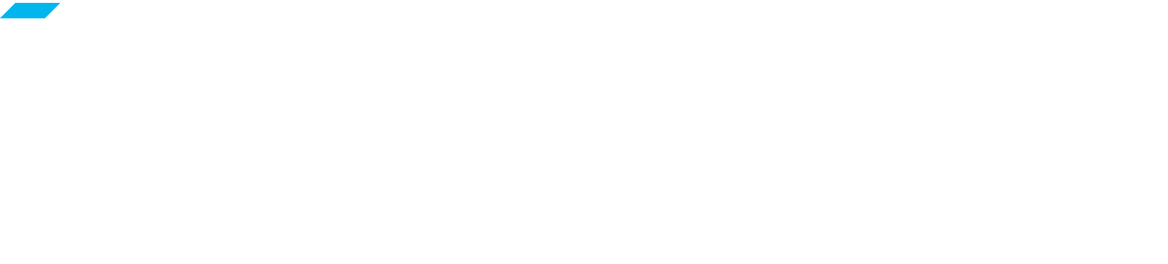 BRESSNER-Logo-2C-RGB_2026-color-inverted-no-margin BRESSNER-Logo-2C-RGB_2026-color-inverted-no-margin